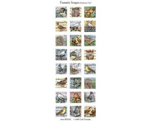 Bezel Settings: Bezel Images - 1 Sheet