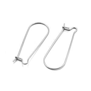 Earrings: Earwire - Kidney Shaped - 5 pairs - Stainless Steel