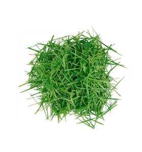 Natural Fresh Grass Fragrance Oil