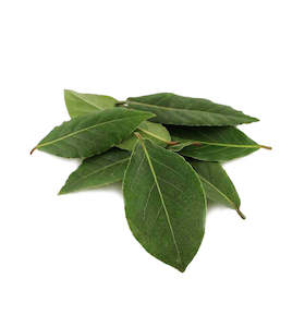 Grecian Bay Leaf Single Note Fragrance Oil