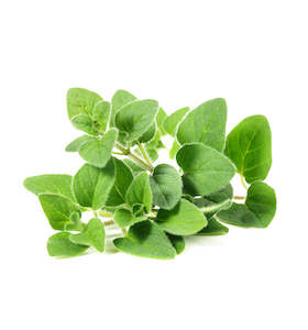 St Patricks Day Sale: Marjoram Essential Oil
