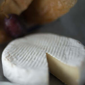 Goat Camembert