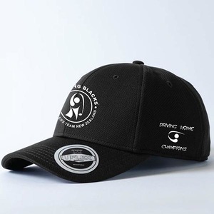 Products: Driving Home Champions Cap