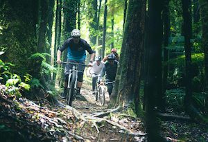 Products: Adventure Awaits