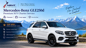Chauffeur Service: Mercedes-Benz GLE 250d Executive Travel Service