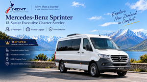 Mercedes-Benz Sprinter 12-Seater Executive Charter Service