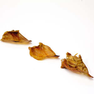 Dried Treats: Air Dried Pigs Ears