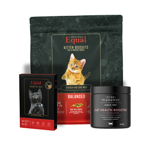 Everyday Kitten Care Bundle