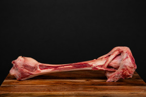 Venison Shin Bones