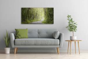 Taranaki: Mt Taranaki - A Long Road