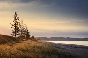 Bay Of Plenty: Ohope Beach - Golden Sunset