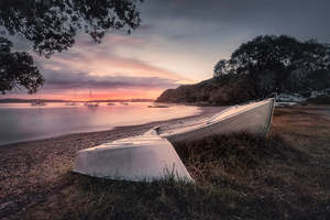 Northland: Russell - Evening Boats