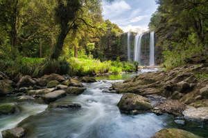 Whangarei - Waterfall | Gift Print