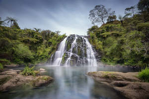 Waterfalls: Waikino - Owharoa Falls | Gift Print