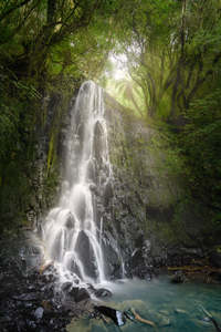 Waterfalls: Catlins - Horseshoe Falls