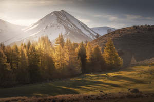 Mountains: Castle Hill - Mountain Sunrays | Gift Print