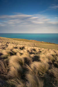 Seascapes: Catlins - Slope Point Tussock | Gift Print