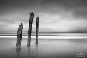 Dunedin - St Clair Fine Art | Gift Print