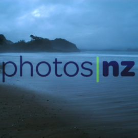 New Zealand Photos: Sub alpine meadow at Tongariro