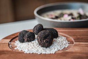 Products: 50g Black Truffle (Tuber Melanosporum) - Truffle Co-operative