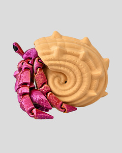 Ocean Creatures: Hermit Crab
