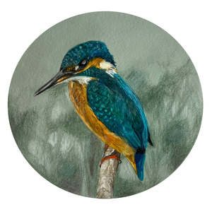 The Watchful Kingfisher | Limited Edition Print