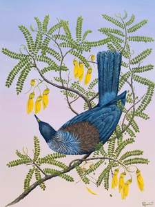 Prints And Photographic Prints: Tui At First Light | Print