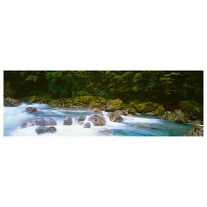 NZ Landscape Photography | Hollyford Treasure