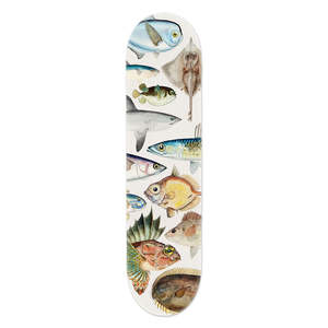 Art Prints: Skate Board Deck | Fishes Of New Zealand