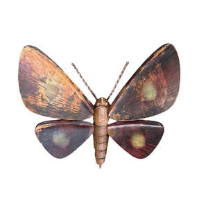 Copper Sculptures: Copper Kawakawa Looper Moth | Smooth Edge Wings