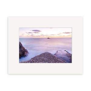 Contemporary Photographic Prints: Muriwai Gannets