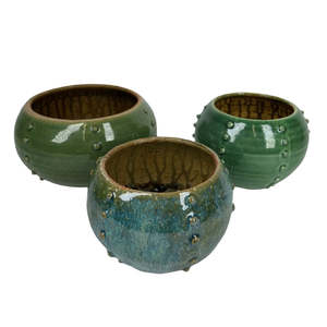 Treena Wilton Potter Auckland: Kina Bowls