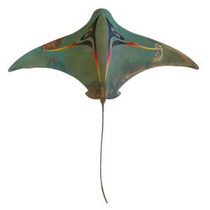 Daniel Wright: Pacific Ray XL Flame