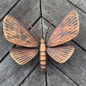 Art Gallery: Copper Kawakawa Looper Moth | Ridged Wings