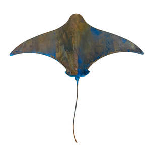 New: Copper Stingray | XXL | Coppery Blue Patina