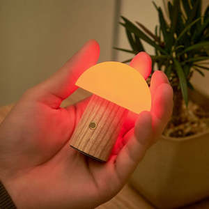 Gift Vouchers: Super Mini Alice Mushroom LED Light