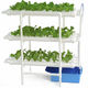 108 Cup NFT Hydroponics - & Save NZ Wide Delivery