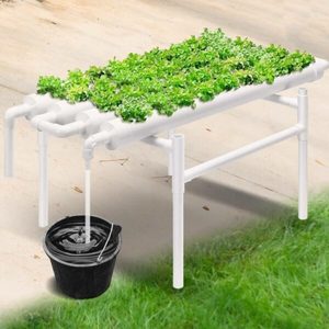 Products: Hydroponics Growing System - & Save NZ Wide