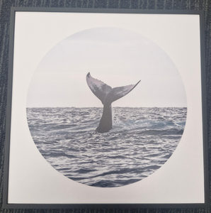 Products: Whale Tail Circle - Toi Toi Maori Art & Gift