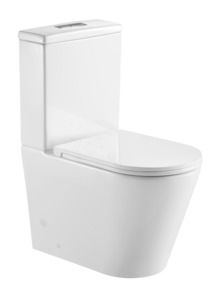 Toilet: Toilet -  Back to wall  Rimless Flushing Toilet