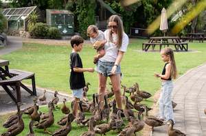 Products: Share the love Donation