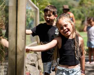 Products: Friend of Ngā Manu