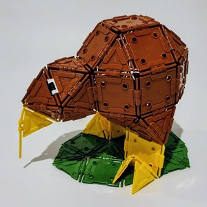 Products: Build a Kiwi - N'Gons