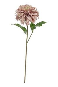 Flowers: flowers dahila 55cm