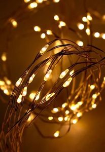 seed light 7.2m warm white