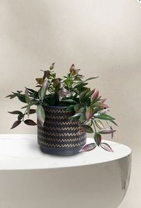 Pots & Vases: black & gold zigzag planter