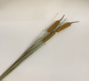 grass cat tail 85cm