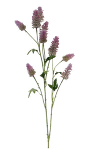 Flowers: flowers hare's foot clover