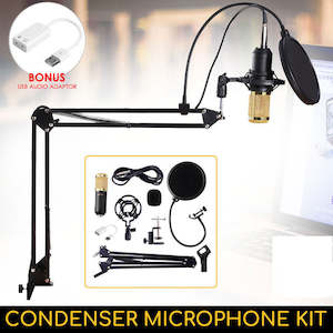 Music Instruments: BM800 Microphone With Arm And Accessories