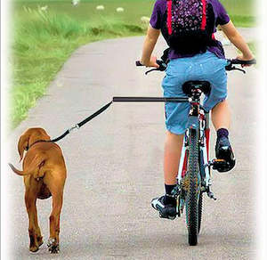 Sports Recreation: Bicycle Dog Leash Attachment Kit